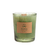 Bee &amp; Willow&trade; Refreshing Herb Medium Single Wick Jar Candle in Green