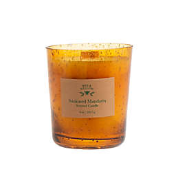 Bee & Willow™ Sunkissed Mandarin Medium Single Wick Jar Candle with Lid in Amber