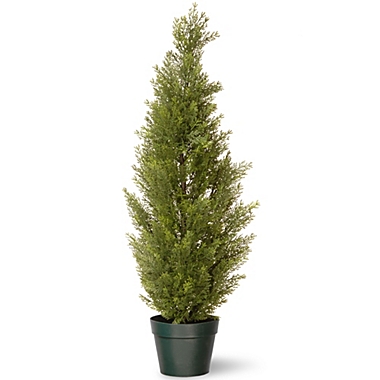 National Tree 36-Inch Arborvitae with Green Pot. View a larger version of this product image.