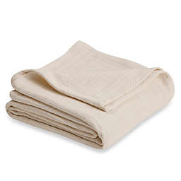 Vellux Cotton Twin Blanket in Ecru