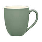 Alternate image 0 for Noritake&reg; Colorwave Mug in Green