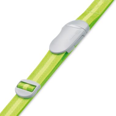 Go Travel Striped Travel Luggage Strap in Green. View a larger version of this product image.