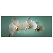 &quot;Teal Orchid&quot; 16-Inch x 40-Inch Canvas Wall Art