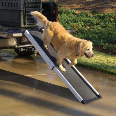 dog car ramps petsmart