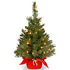 Alternate image 0 for National Tree Company 2-Foot Majestic Fir Pre-Lit Christmas Tree with Clear Lights and Red Base