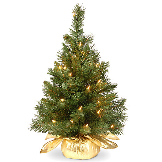 Alternate image 1 for National Tree Company 2-Foot Majestic Fir Pre-Lit Christmas Tree with Clear Lights and Gold Base