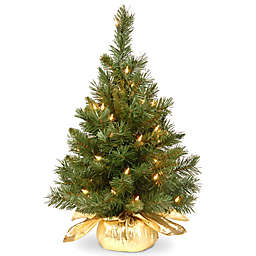 National Tree Company 2-Foot Majestic Fir Pre-Lit Christmas Tree with Clear Lights and Gold Base