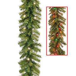 National Tree Company 9-Foot 10-Inch Pre-Lit Norwood Fir Garland with Dual Color® LED Lights