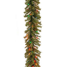 National Tree Company 9-Foot 10-Inch Norwich Fir Garland with 50 Multi-Colored Lights