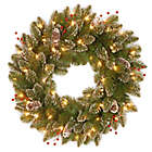 Alternate image 0 for Pre-Lit 24-Inch Glittery Mountain Spruce Wreath