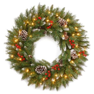 National Tree 2-Foot Frosted Berry Pre-Lit Wreath with Clear Lights