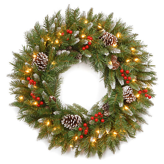 Alternate image 1 for National Tree 2-Foot Frosted Berry Pre-Lit Wreath with Clear Lights