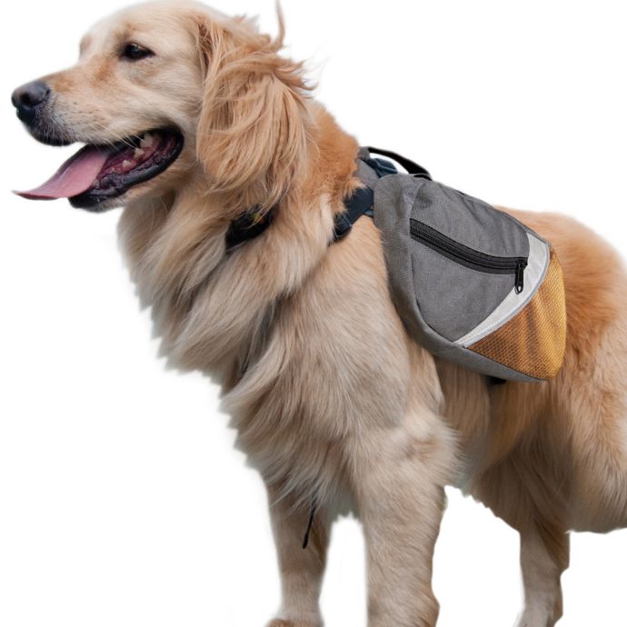 kurgo wander dog backpack