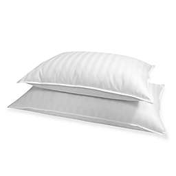 Stripe 500 Thread Count Standard/Queen Down Pillow