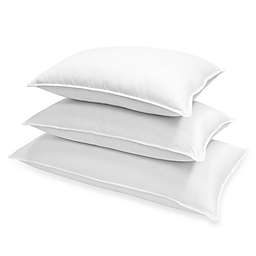1000 Thread Count Siberian Down Bed Pillow