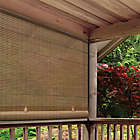 Alternate image 1 for Farmhouse Roll-Up Cordless Oval Shade