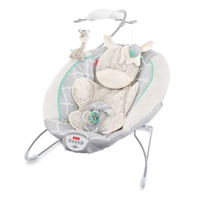 Fisher-Price® Deluxe Bouncer in Safari 