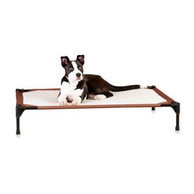 dog cot