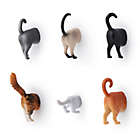 Alternate image 0 for Kikkerland&reg; Design Cat Butt Magnet (Set of 6)