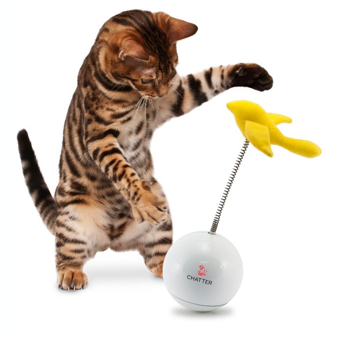 frolicat pounce cat toy