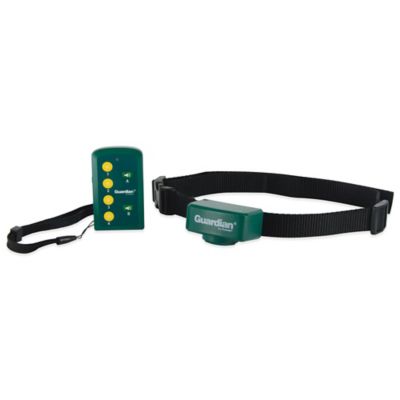 guardian remote trainer