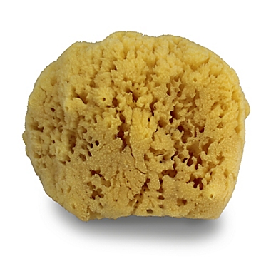 Swissco&reg; Natural Sea Sponge. View a larger version of this product image.