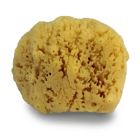 Alternate image 0 for Swissco&reg; Natural Sea Sponge