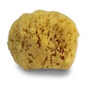 Swissco&reg; Natural Sea Sponge