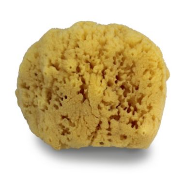 Swissco&reg; Natural Sea Sponge. View a larger version of this product image.