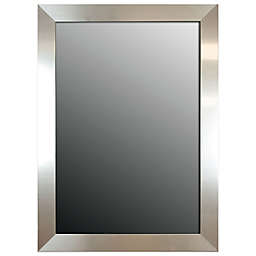 Hitchcock-Butterfield Decorative Wall Mirror in Stainless Silver
