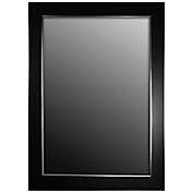 Hitchcock-Butterfield 18-Inch x 36-Inch Wall Mirror in Black Forest with Silver Edged Trim