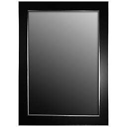 Hitchcock-Butterfield Decorative Wall Mirror in Black Forest with Silver Edged Trim