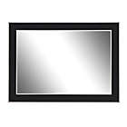 Alternate image 1 for Hitchcock-Butterfield 30-Inch x 66-Inch Wall Mirror in Black Forest with Silver Edged Trim