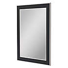 Alternate image 2 for Hitchcock-Butterfield 30-Inch x 66-Inch Wall Mirror in Black Forest with Silver Edged Trim
