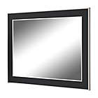 Alternate image 3 for Hitchcock-Butterfield 30-Inch x 66-Inch Wall Mirror in Black Forest with Silver Edged Trim