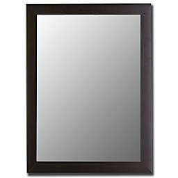 Hitchcock-Butterfield 17-Inch x 35-Inch Decorative Wall Mirror in Satin Black