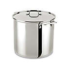 Alternate image 0 for All-Clad Stainless Steel 16 qt. Covered Stock Pot