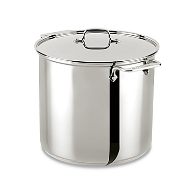 All-Clad Stainless Steel 16 qt. Covered Stock Pot. View a larger version of this product image.