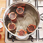 Alternate image 2 for All-Clad Stainless Steel 16 qt. Covered Stock Pot
