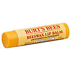 Alternate image 0 for Burt&#39;s Bees&reg; 0.15 oz. Beeswax Lip Balm