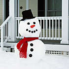 Alternate image 2 for My Very Own Snowman Kit