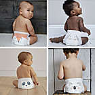 Alternate image 8 for Kit &amp; Kin&trade; Hypoallergenic Disposable Diaper Collection