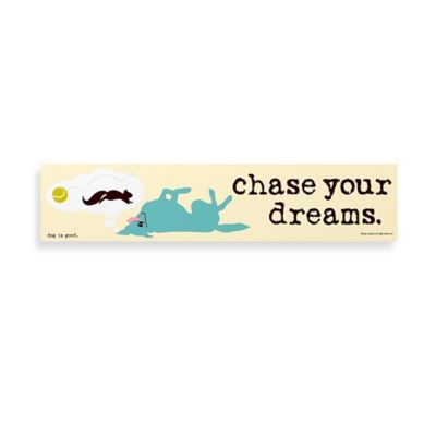 Chase Your Dreams Decorative Sign