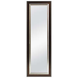 Better 53.5-Inch x 17.5-Inch Over-the-Door Mirror in Bronze Bead