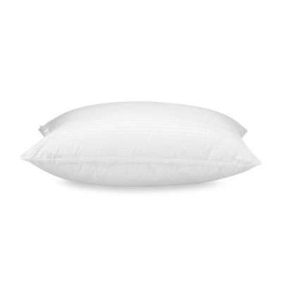Claritin Queen Mattress Protector
