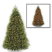 National Tree Company 9-Foot Dunhill Fir Pre-Lit Christmas Tree with Dual Color&reg; Lights