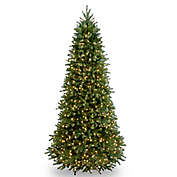 National Tree Company Pre-Lit Jersey Fraser Fir Slim Christmas Tree with Clear Lights