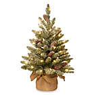 Alternate image 0 for National Tree 2-Foot Snowy Concolor Fir Tree Pre-Lit with 50 Lights