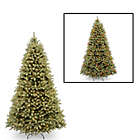 Alternate image 0 for National Tree Company 9-Foot Downswept Douglas Fir Pre-Lit Christmas Tree with Dual Color Lights