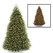 National Tree Company Dunhill Fir Pre-Lit Christmas Tree with Dual Color&reg; Lights